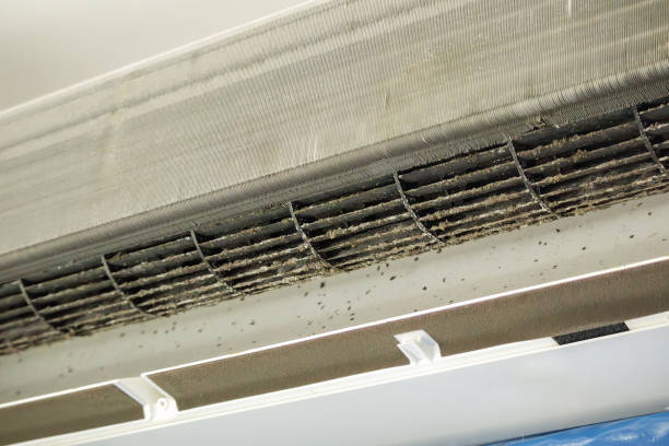 Best Emergency Air Duct Cleaning  in Highland Beach, FL